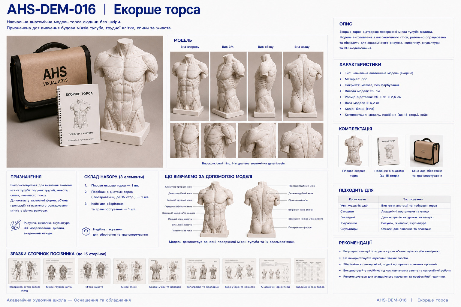 Екорше торса