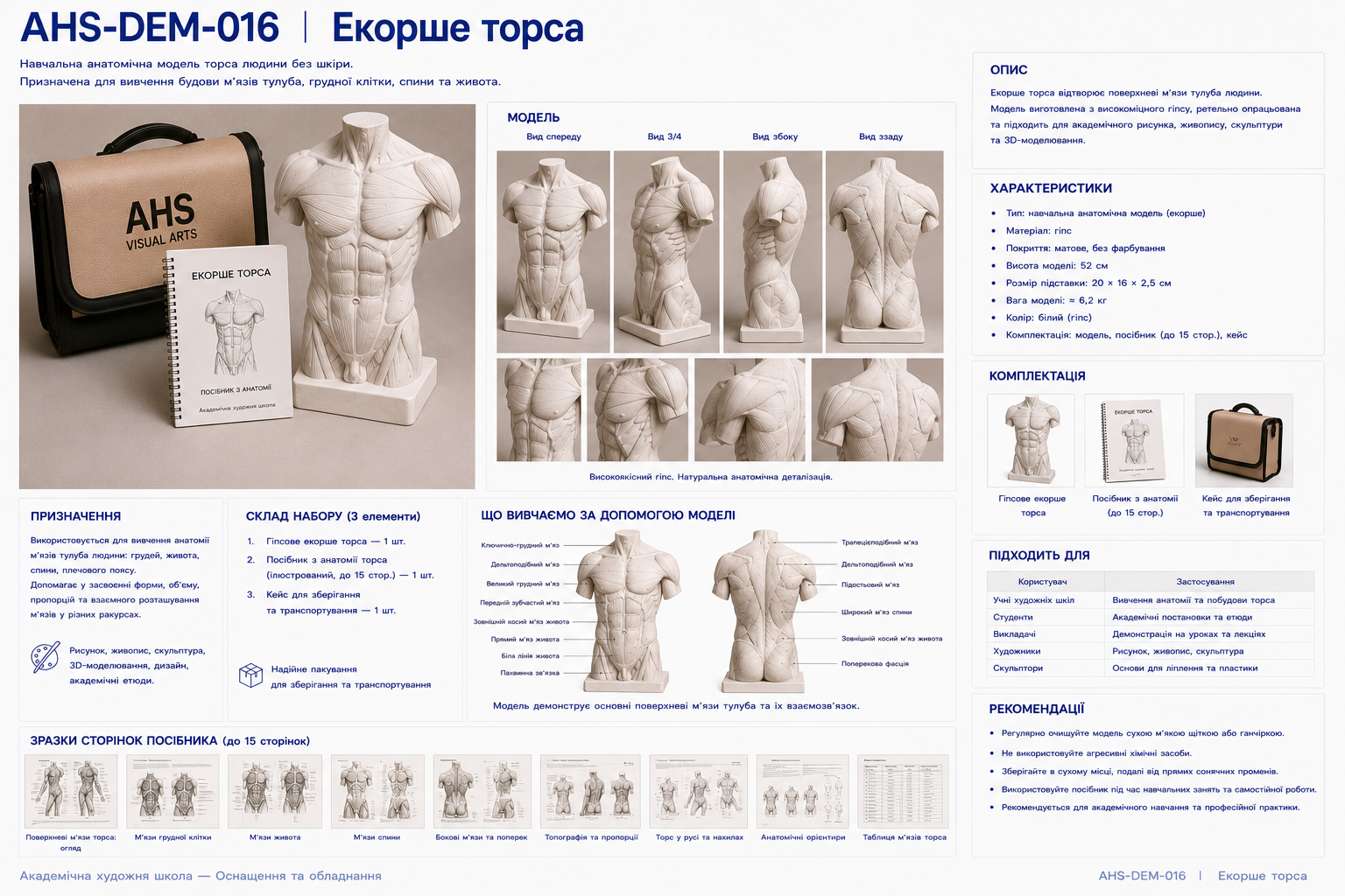 Екорше торса