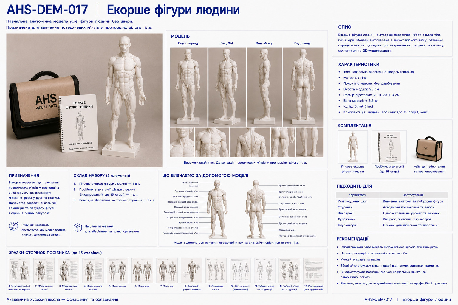 Екорше фігури людини