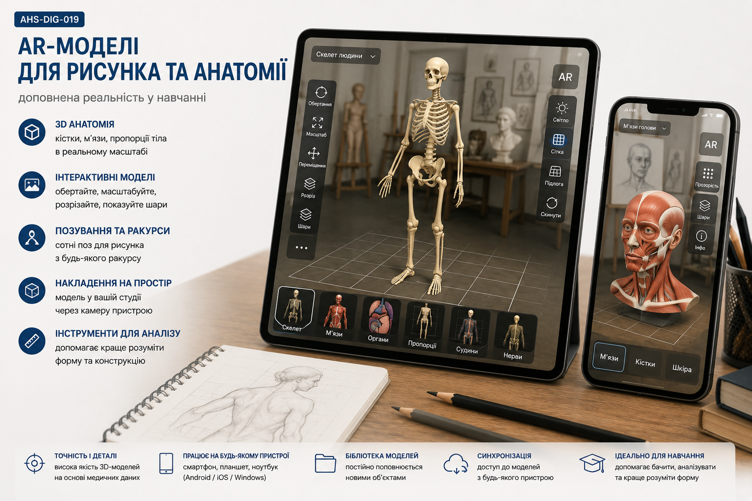 AR-моделі для рисунка та анатомії